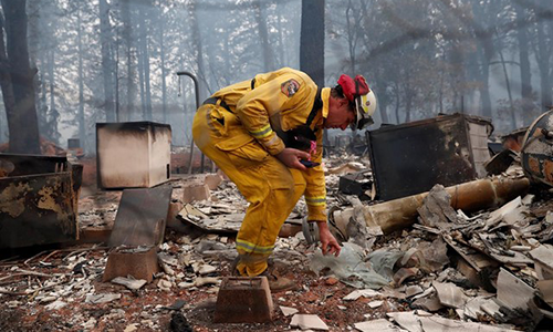 Tragedia en California por incendios forestales