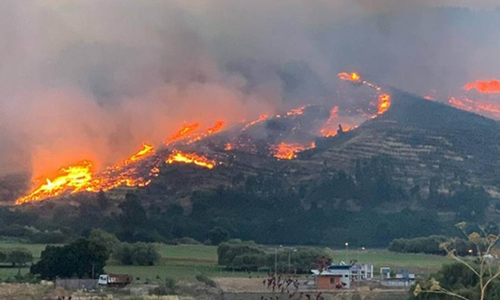Tres regiones del sur de Chile declaradas en estado de catástrofe por incendios