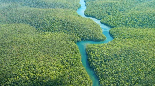 Ministros buscarán acuerdo transnacional en defensa de la Amazonía