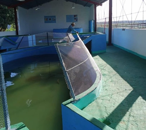 Concretan proyecto de desarrollo en la UEB Alevinaje La Paila +(Fotos y video)