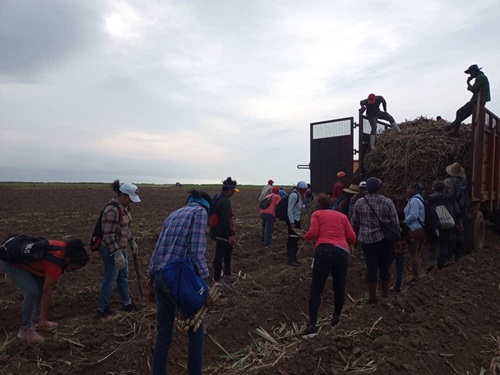 Realizan jornada de trabajo voluntario en saludo al Primero de Mayo