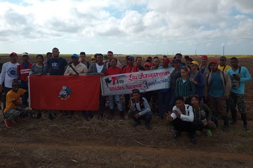 Jóvenes se destacan entre los trabajadores del sector azucarero￼