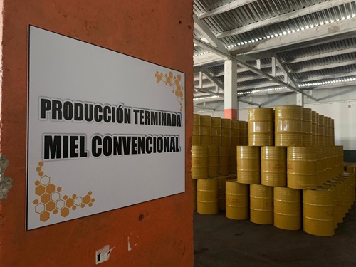 Donde el zumbido del campo cubano se convierte en oro líquido +(Fotos)