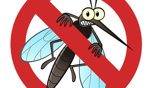 ¿Por qué en el verano hay más mosquitos?