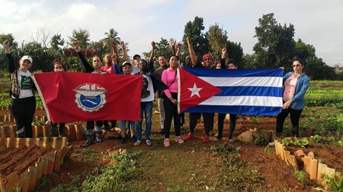 Sindicalistas artemiseños participan en trabajo productivo en saludo al aniversario 87 de la CTC Sindicalistas artemiseños participan en trabajo productivo en saludo al aniversario 87 de la CTC