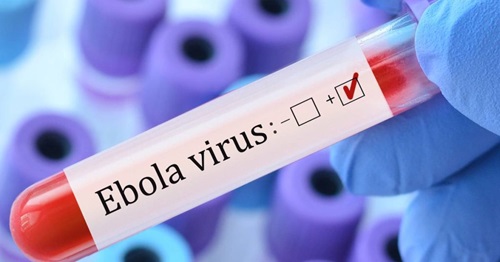 La nueva alerta mundial por ébola: ¿qué ocurre en África y por qué la OMS descarta, por ahora, una nueva pandemia? La nueva alerta mundial por ébola: ¿qué ocurre en África y por qué la OMS descarta, por ahora, una nueva pandemia?