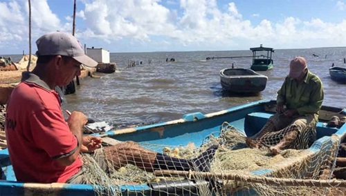 Mayor industria pesquera de Cuba hacia la transformación energética